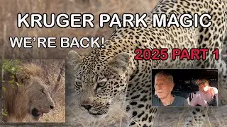 KRUGER MAGIC АВГУСТ-СЕНТ 2025 ЧАСТЬ 1