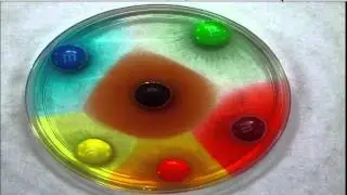CandyExperiment