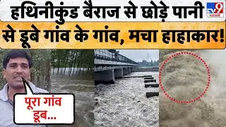 Hathni Kund barrage से छोड़ा गया  3 लाख क्यूसेक पानी, डेंजर जोन में आई यमुना बाढ़ का खतरा मंडराया!