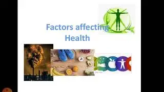 Factors affecting Health