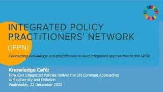 IPPN Knowledge Caf&eacute;: How Can Integrated Policies Deliver the UN Common Approaches