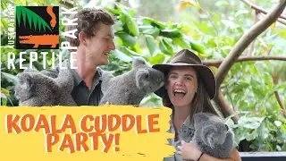 KOALA CUDDLE PARTY! | The Australian Reptile Park