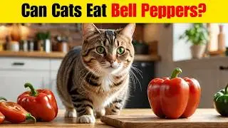 Can Cats Eat Bell Peppers? | Exploring Safe Foods for Felines