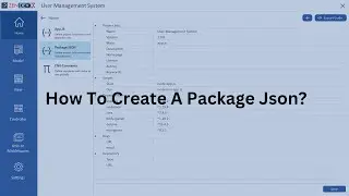 How to Create a Package.json with ZenDevX : No-Code Web-App Development Tool