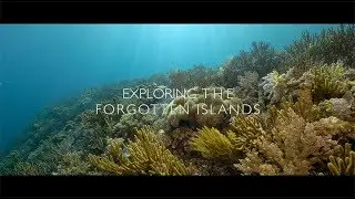 Forgotten Island on board the Amira - filmed with a GH5