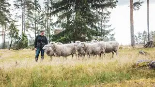 Visit Saimaa Kirje Saimaalta Susanna Nuutinen