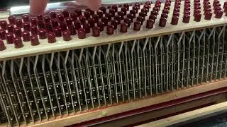 Inside an Accordion - What Happens When You Press the Buttons