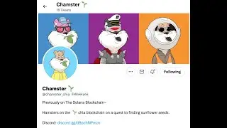 【Chia in China】NFT month: Chamster