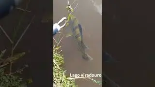 #pesqueesolte