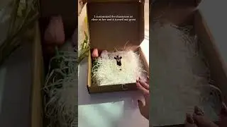 Graduation Celebration | Personalized 3D LED Light Wooden Base | Macorner Short
