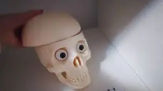 Scheletul