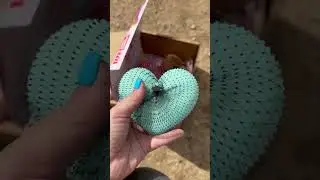 Puppies open Barkbox!