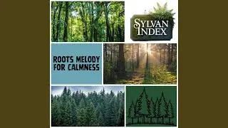Vision (Woodland Sound Therapy)
