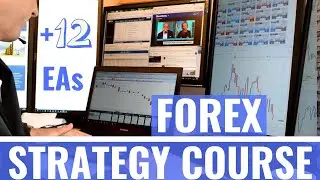Forex Strategy Course - Portfolio Trading With 12 Expert Advisors
