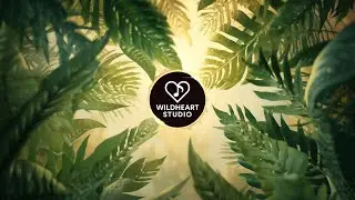 Leafless Horizon &mdash; Tropical Music Loop (90 Minutes)
