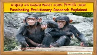 মানুষের মদ হজমের ক্ষমতা এসেছে শিম্পাঞ্জি থেকে!  Fascinating Evolutionary Research Explained.