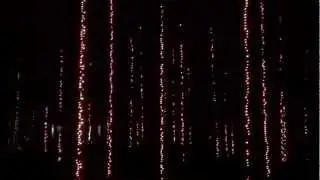 Hanging Christmas Lights Uniquely in trees part 2