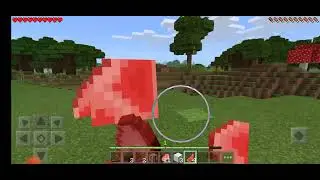 Minecraft village dhundte hue