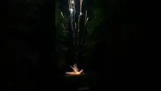 DRUNK IDIOT KNOCKS OVER FIREWORKS #shorts  #viral #fireworks