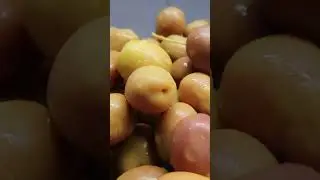 Gut-Healthy Goodness: The Digestive Benefits of Olives