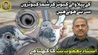 Ustad Yaqoob Butt 03004558601
