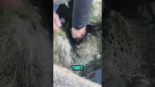He Reached Into the Rocks&hellip; and Pulled Out a HUGE Fish #shorts #rescuemission #unexpectedhero