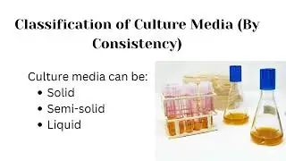 Types of Culture Media | Solid, Semi-Solid & Liquid Media Explained