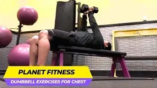 Planet Fitness Dumbbell Chest Exercises (4 BEGINNER-FRIENDLY MOVES!)