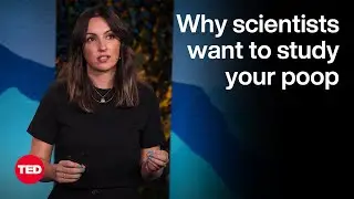 The Vital Data You Flush Down the Toilet | Newsha Ghaeli | TED