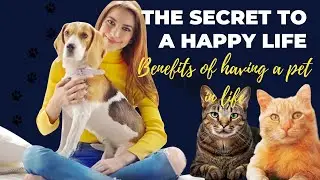 Pets and Mental Health | How Companion Animals Can Help Reduce Anxiety and Depression.