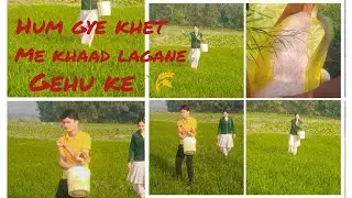 Hum log gye Gehu 🌾 ke khet mein khaad lagane | bindass Tiwari girl | 