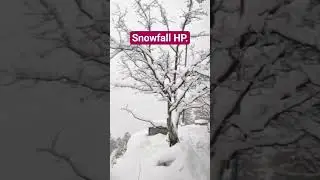 Himachal Pradesh Manali snowfall #viral #video #travel #review #GujjarMobileAnd Electronic#ytshorts