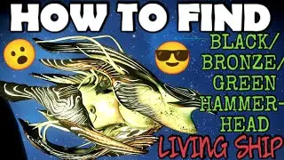 How To Find - Black/Bronze Metallic and Green Hammerhead Living Ship - Euclid | No Man's Sky