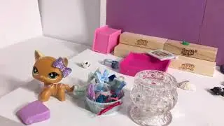 LPS CLEAN YOUR ROOM SWEETIE  with LPS RUBY RED