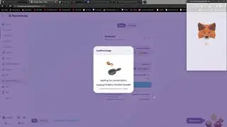 Crusaders of Crypto - How to Buy CRUSADER Token and Add it to Metamask