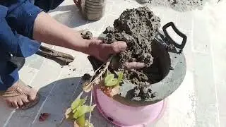Flower pot with handle and beautiful ⚡💥😍