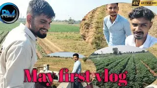 May first vlog GUJRATI VIDEO 