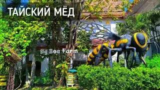 Тайский мёд с пчелиной фермы в Паттайе 🍯 Big Bee Farm Pattaya 2025 / We buy Thai honey #мёд #пчёлы