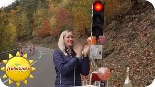18 Jahre Baustellen Ampel - die Nerv-Ampel wird volljährig | SAT.1 Frühstücksfernsehen
