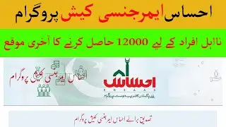 Ehsaas Emergency Cash Program New Update | Ehsaas Program Portal | Insaf Imdad |  Yaar Almani