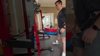 Belt Squat Lever Arm Attachment #beltsquat #leverarm #squat #squatrack #fitnessequipment #homegym