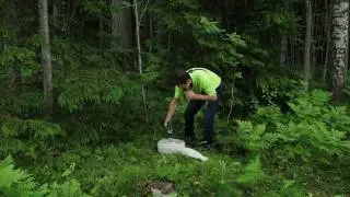 Wind-X Large double winding fire hose (in the forest)