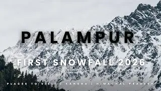 First Snowfall || Palampur || Himachal Pradesh || Snow || Dholadhar || 2026