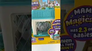 MAMA MOUSE HAS BABIES?! Little Live Pets Mama Surprise Minis #kidsvideo #kidsshorts #toysforkids