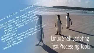 Linux Text Processing Tools- Bangla tutorial