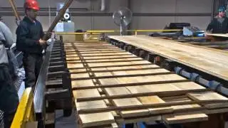 TS Lumber Stacker Systems Overview