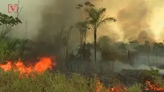 NASA Satellite Images Show Africa&rsquo;s Congo Basin Has More Fires Than Amazon