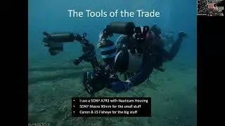 South Florida's Seasonal Seas