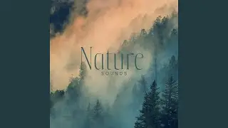 Gentle Creatures