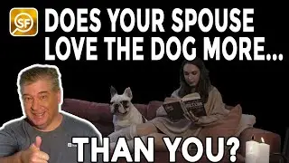 Does Your Spouse Love The Dog More Than You?